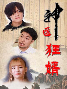神医狂婿 神医狂婿