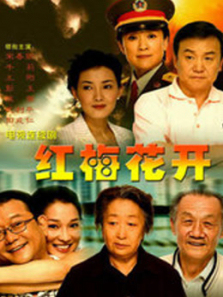 红梅花开 红梅花开