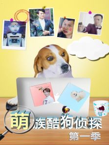 萌族酷狗侦探第一季 萌族酷狗侦探第一季