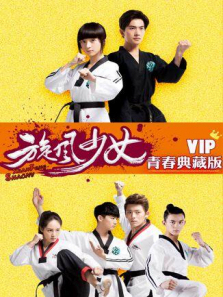 旋风少女第二季VIP青春典藏版 旋风少女第二季VIP青春典藏版
