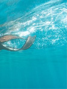 水测试 水测试