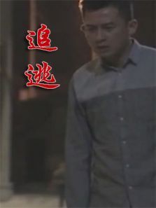 追逃2020 追逃2020