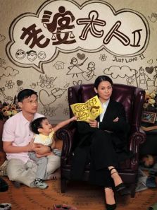 老婆大人2粤语版 老婆大人2粤语版