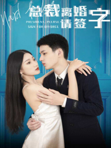 总裁离婚请签字 总裁离婚请签字