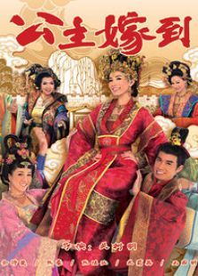 公主嫁到国语版 公主嫁到国语版