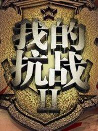 我的抗战2动画版电视剧全集