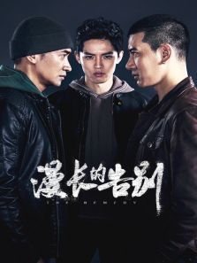 漫长的告别 漫长的告别