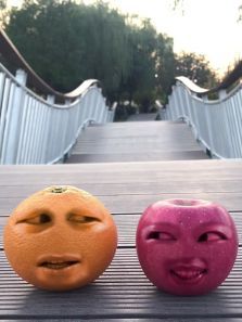 水果会说话 水果会说话