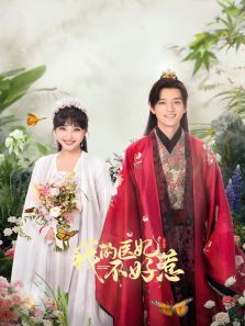 我的医妃不好惹3 我的医妃不好惹3