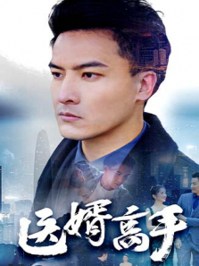 医婿高手 医婿高手