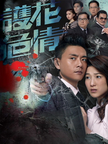 护花危情普通话版 护花危情普通话版