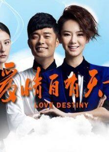 爱情自有天意TV版电视剧全集
