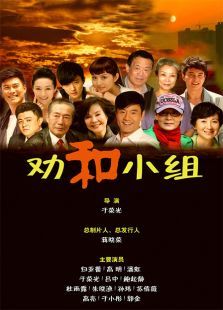 劝和小组DVD版 劝和小组DVD版
