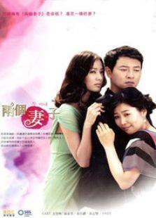 两个妻子电视剧全集