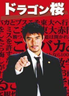龙樱电视剧全集
