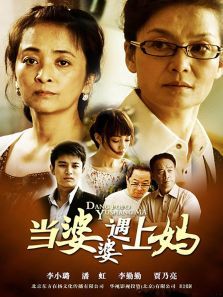 当婆婆遇上妈 当婆婆遇上妈