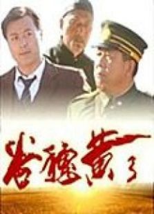 谷穗黄了 谷穗黄了