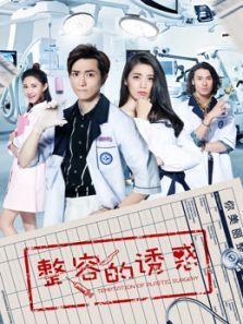 整容的诱惑 整容的诱惑