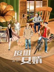 接班女婿 接班女婿