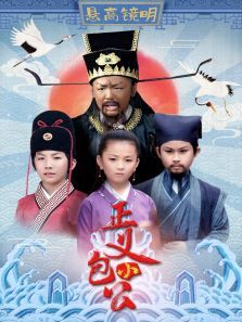 正义小包公 正义小包公