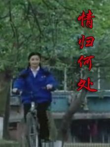 情归何处2017 情归何处2017