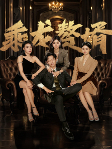 乘龙赘婿 乘龙赘婿