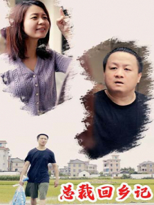 总裁回乡记 总裁回乡记
