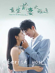 重生前妻太难追 重生前妻太难追
