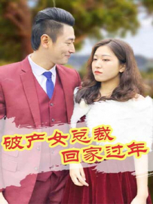 破产女总裁回家过年 破产女总裁回家过年