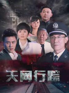 天网行踪 天网行踪