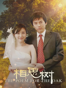 相思树 相思树