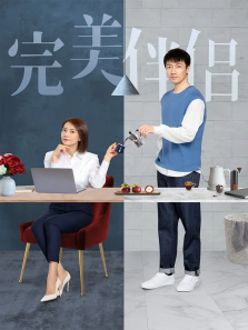 完美伴侣DVD版 完美伴侣DVD版