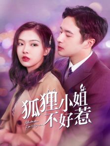 狐狸小姐不好惹 狐狸小姐不好惹
