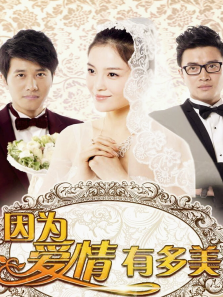 因为爱情有多美未删减版 因为爱情有多美未删减版