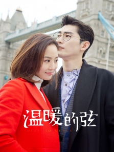 温暖的弦DVD版 温暖的弦DVD版