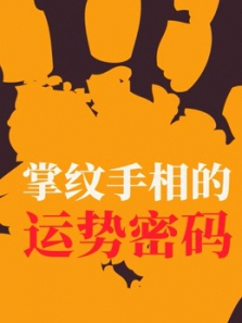 掌纹手相的运势密码 掌纹手相的运势密码