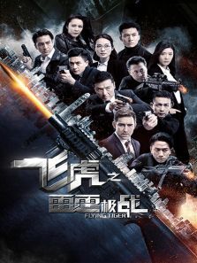 飞虎之雷霆极战 飞虎之雷霆极战