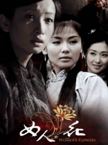 女人花内地版 女人花内地版