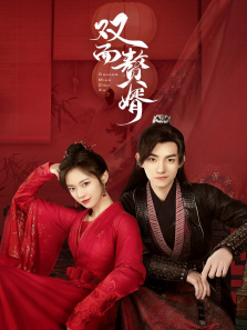 双面赘婿 双面赘婿