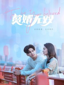 赘婿无双 赘婿无双