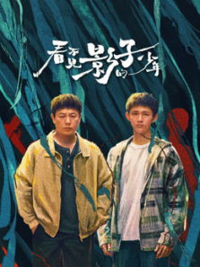 看不见影子的少年 看不见影子的少年