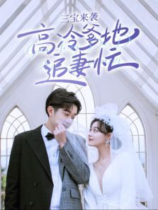 三宝来袭高冷爹地追妻忙 三宝来袭高冷爹地追妻忙