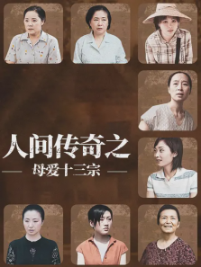 人间传奇之母爱十三宗 人间传奇之母爱十三宗