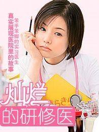 闪亮的进修医生电视剧全集