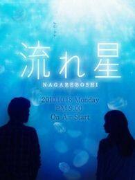 流星电视剧全集