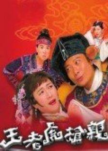 王老虎抢亲电视剧全集