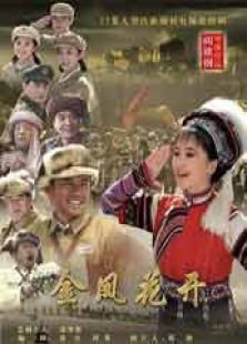 金凤花开 金凤花开