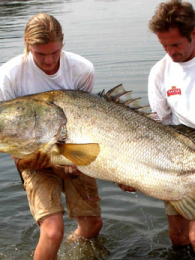 BBC��ս�����ܵĵ���