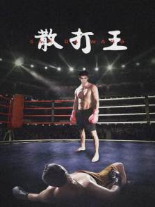 散打王 散打王