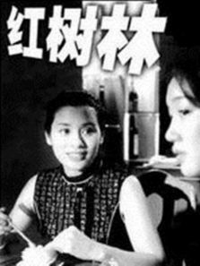 红树林 红树林